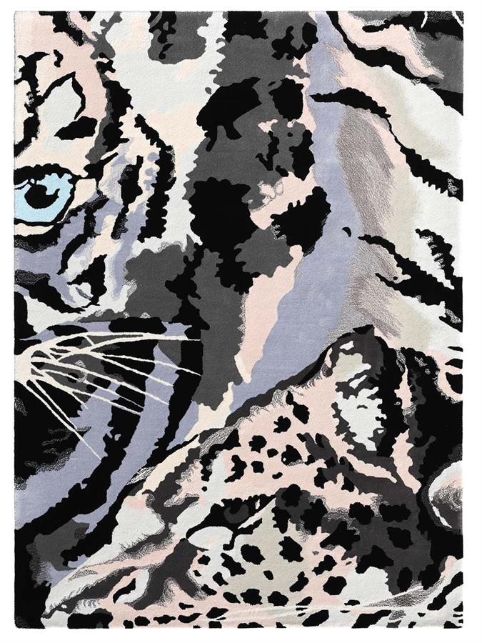 Safari